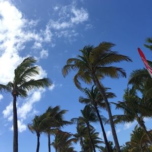 Meet your Posher, Coulla